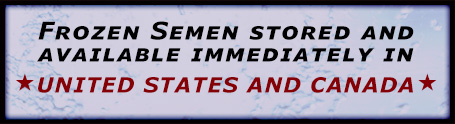 Frozen Semen Stored